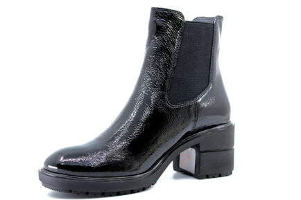 ΑΝΑΤΟΜΙΚΑ ΜΠΟΤΑΚΙΑ STONEFLY